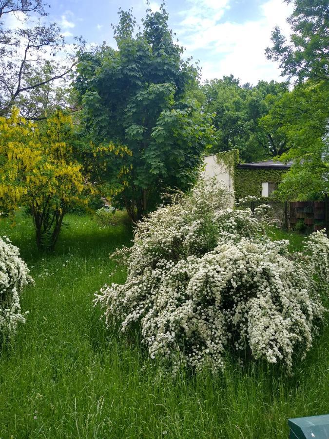 Zielony Apartament, Kielce, Targi, Centrum Daire Dış mekan fotoğraf